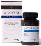 Gayatri - Prana