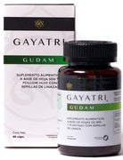 Gayatri - Gudam