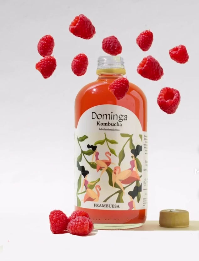 Dominga Kombucha-Frambuesa