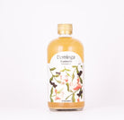 Dominga- Kombucha Jengibre