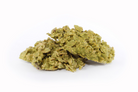 Green Republic - Enjambre Matcha Individual