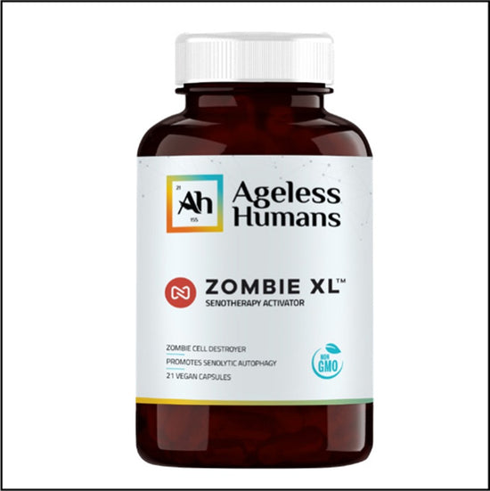 Zombie XL