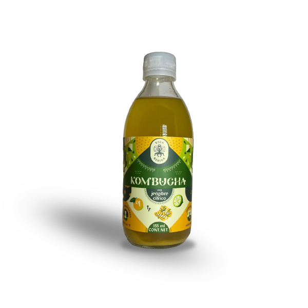 Vida Bebida - Kombucha Menta 355ml - Solo CDMX