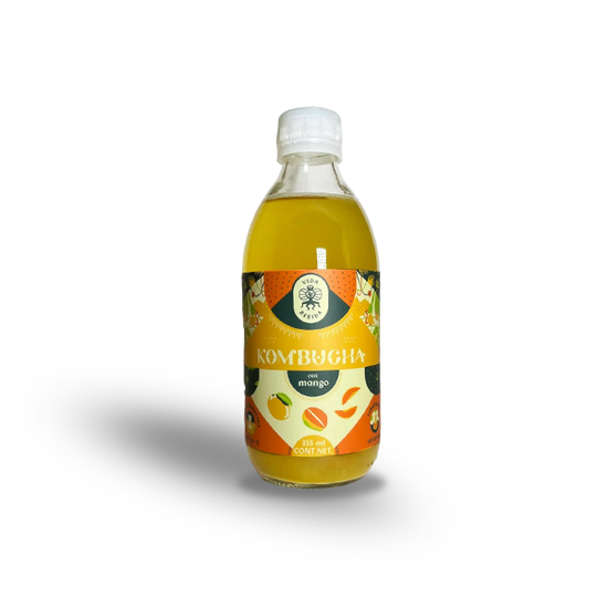 Vida Bebida - Kombucha Mango 355ml - Solo CDMX