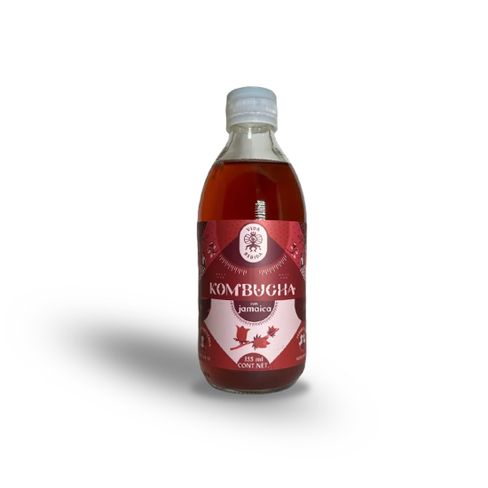 Vida Bebida - Kombucha Jamaica 355ml - Solo CDMX