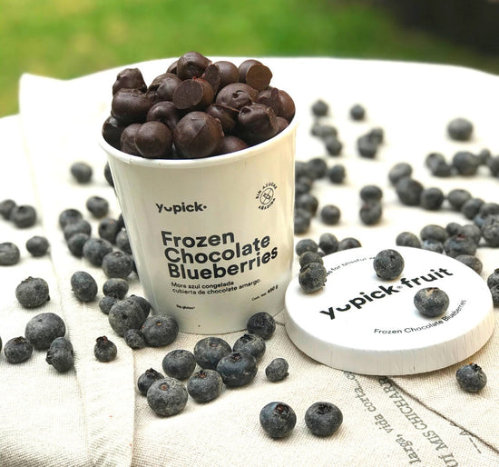 YU PICK - Frozen Chocolate Blueberries