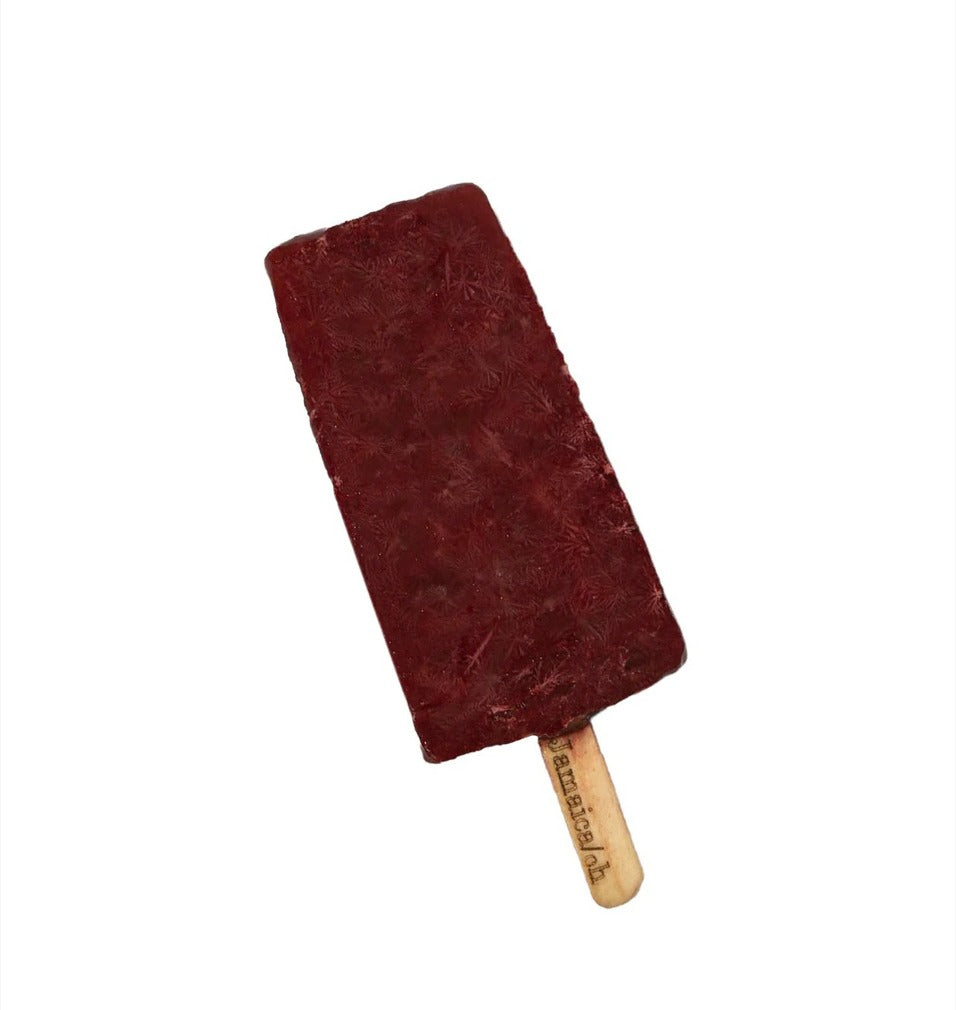 TAMAO Paleta de Jamaica con Chilito Solo CDMX